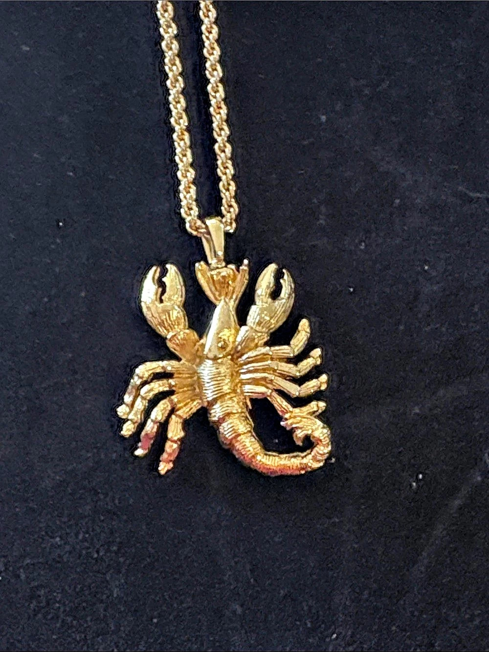 Stunning Scorpion Pendant Necklace in Gold on rope chain Like New